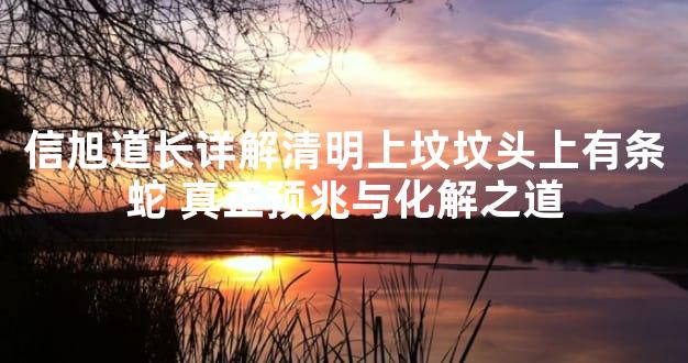信旭道长详解清明上坟坟头上有条蛇 真正预兆与化解之道